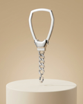 Silver Shield Carabiner Curb Chain Keychain
