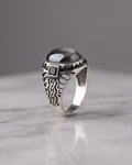 The Eclipse Lattice Signet