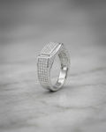 The Rome Glaciar Pave Band