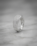 The Rome Glaciar Pave Band