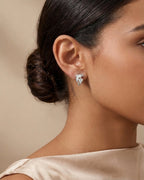 Dolphin Stud Earrings Sterling Silver